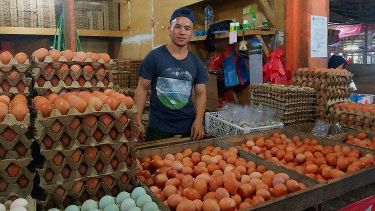 harga telur ayam mulai turun