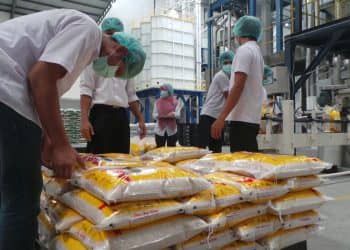 Data produksi beras di Riau, beras premium