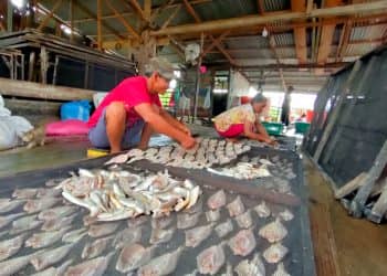 Ali Sahbana, pengusaha ikan asin mendapatkan penambahan modal Kredit Usaha Rakyat (KUR) BRK Syariah di Kabupaten Rohil.