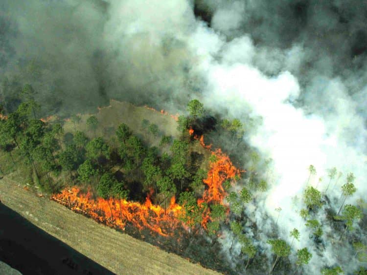 Upaya penanganan karhutla di Riau