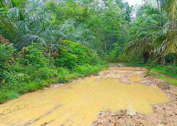 Jalan rusak kuansing