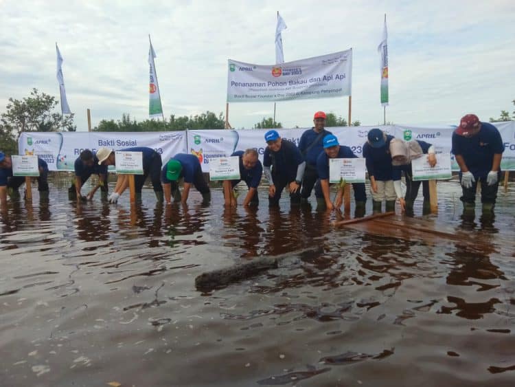 Penanaman bibit Mangrove oleh Bupati Siak Alfedri, didampingi GM Stakeholder Relations (SHR) PT RAPP, Wan Muhamad Jack Anza dan jajaran manajemen lainnya