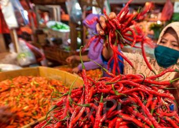 Harga Cabai Merah 'Pedas' Jelang Natal dan Tahun Baru