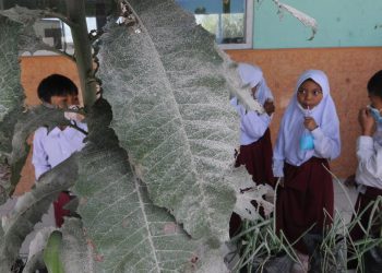 38 Sekolah di Gunung Marapi Terapkan PTM Meski Terkena Hujan Abu Erupsi