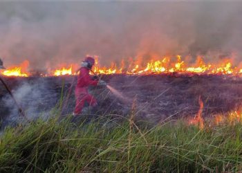 124 Titik Panas Terpantau di Riau