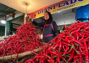 Lonjakan Harga Cabai, Pemprov Riau Jalin Kerjasama dengan Sumut