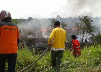 Cuaca Panas, Lebih 1 Hektar Lahan di Pekanbaru Terbakar