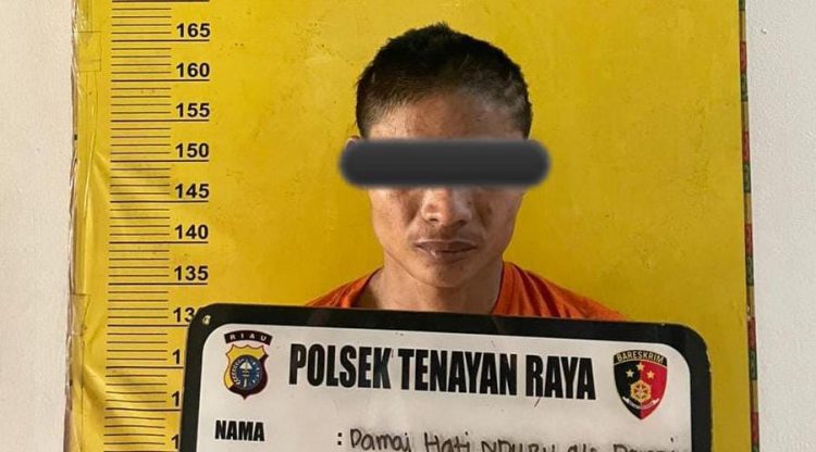 Pemuda di Pekanbaru Nekat Curi HP untuk Beli Sabu