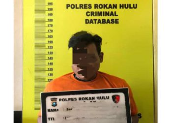 Pemuda di Rohul Ditangkap karena Sebarkan Video Bugil Mantan Pacar