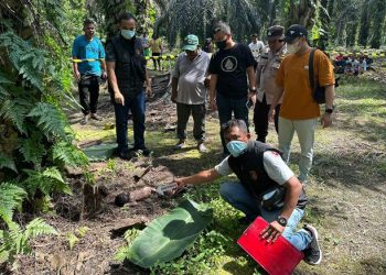 Mayat Bayi Perempuan Ditemukan di Kebun Sawit Kampar