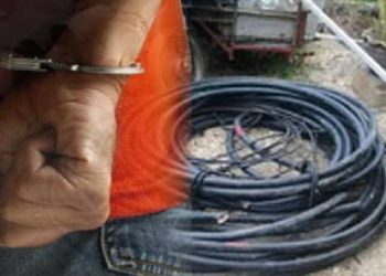 Dua Mantan Teknisi PLN Diciduk Polisi Usai Curi Kabel Listrik di Pekanbaru