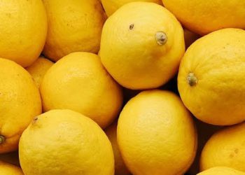 5 Manfaat Lemon untuk Kesehatan, Coba Aja Dulu dan Rasakan Manfaatnya