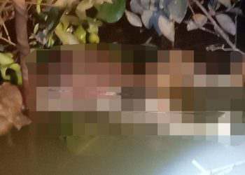 Warga Pekanbaru Dikejutkan Penemuan Jasad Mr X Mengambang di Sungai Siak