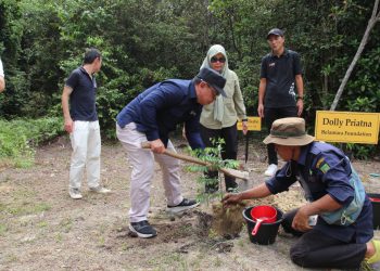 Belantara Foundation dan Mitra Jepang Tanam Pohon Langka di Tahura SSH Riau