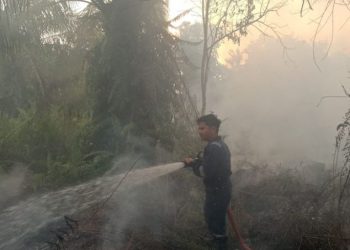 Kebakaran Lahan di Pekanbaru, Satu Hektare Terbakar di Payung Sekaki