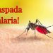 Penyebaran Malaria di Kabupaten Indragiri Hilir Mencapai 128 Kasus