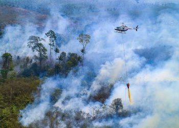 5 Daerah di Riau Dilanda Karhutla, 7 Helikopter Dikerahkan