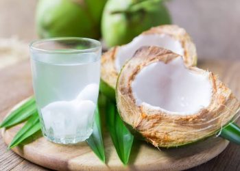 Air Kelapa: Manfaat dan Peringatan Bagi Kelompok Tertentu