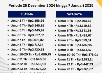 Harga tbs kelapa sawit