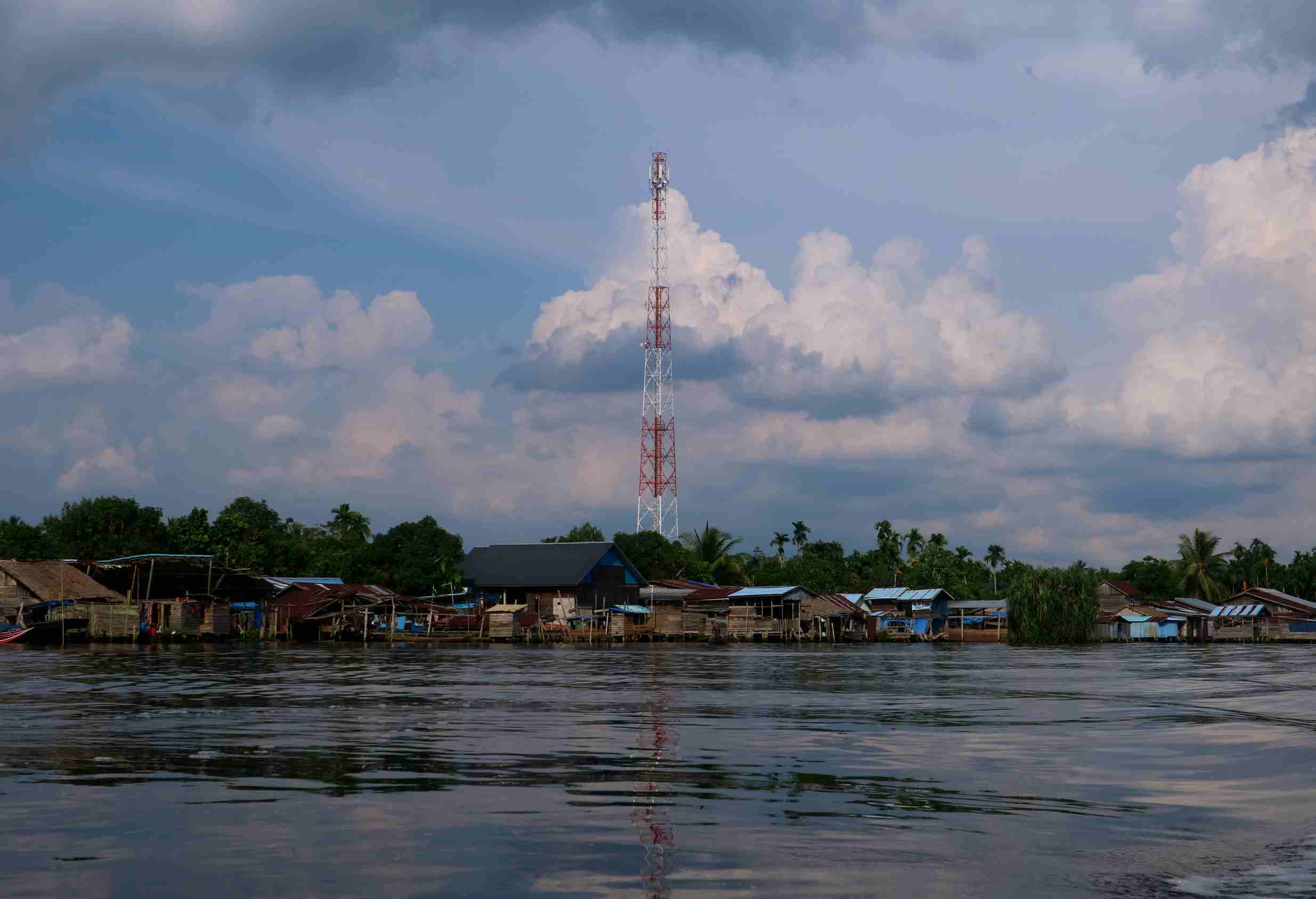 Buaya Muara di Sungai Gaung