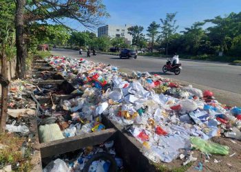 Tumpukan Sampah Mulai Menjamur di Pekanbaru