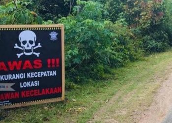 Dishub Riau Petakan Titik Jalan Rawan Kecelakaan Jelang Nataru 2024-2025