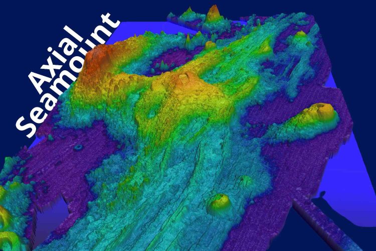 Axial Seamount, Gunung Api Bawah Laut Paling Aktif di Dunia Diprediksi Meletus Sebelum Tahun 2025