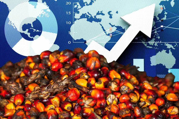 Ini Penyebab di Balik Melonjaknya Harga CPO di Awal Pekan, Bagaimana dengan Harga TBS Sawit di Riau?