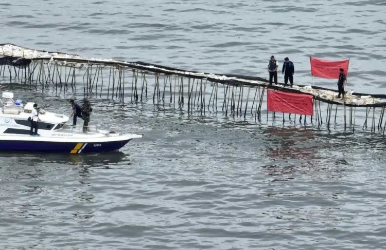 Selain di Banten, Pagar Laut Juga Ditemukan di Perairan Bekasi, Ini Respon KKP