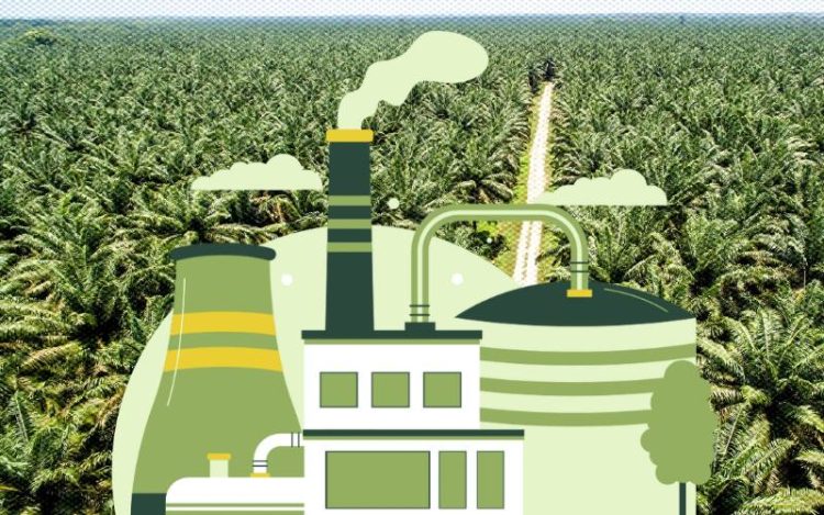 Biodiesel B40 Mulai Diproduksi untuk Swasembada Energi, Target Awal 135.138 Kiloliter per Bulan