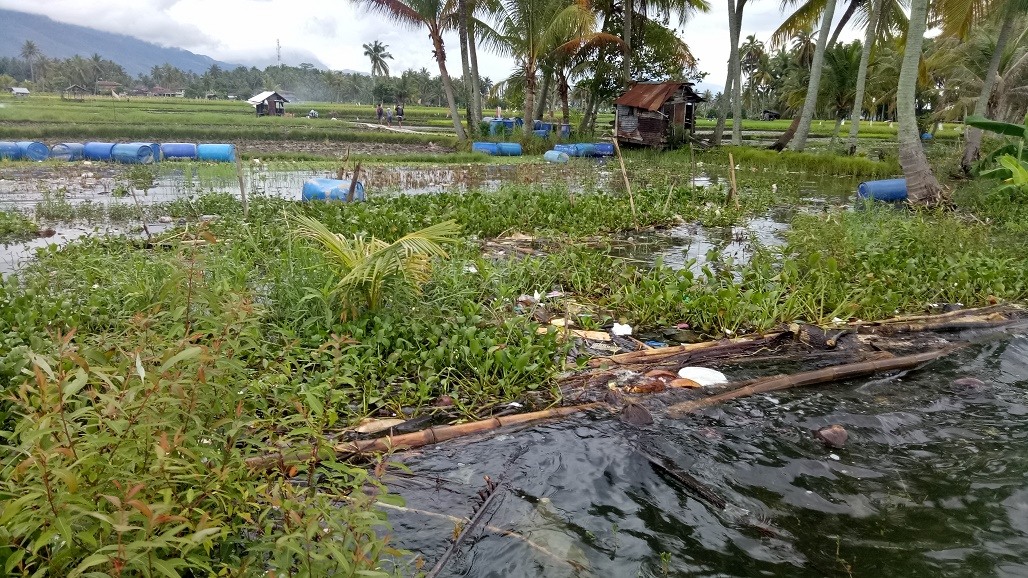 Air Danau Singkarak Meluap Puluhan Sawah Masyarakat Muaro Pingai Terendam/bpc19