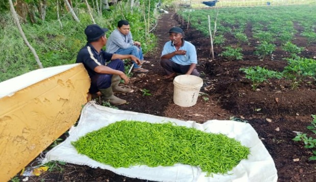 Aliansi Petani Gambut Riau memandang keberadaan Badan Restorasi Gambut (BRG) sangat dibutuhkan masyarakat. Terutama petani yang memanfaatkan lahan gambut di Riau