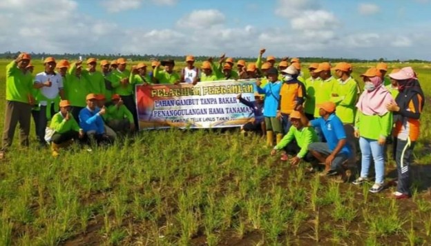 Aliansi Petani Gambut Riau memandang keberadaan Badan Restorasi Gambut (BRG) sangat dibutuhkan masyarakat. Terutama petani yang memanfaatkan lahan gambut di Riau