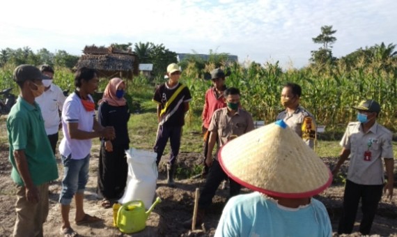 Aliansi Petani Gambut Riau