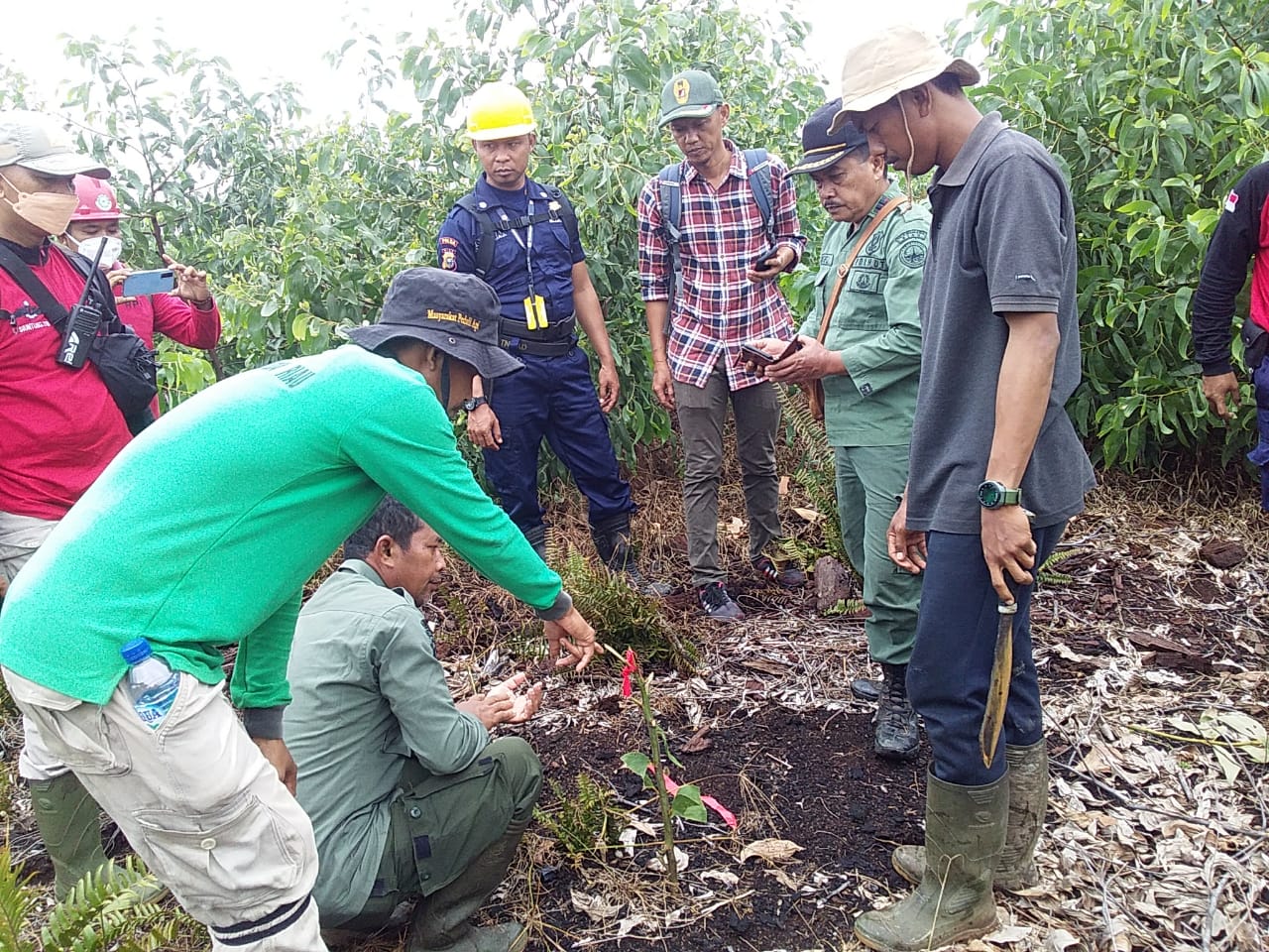 serangan biatang buas