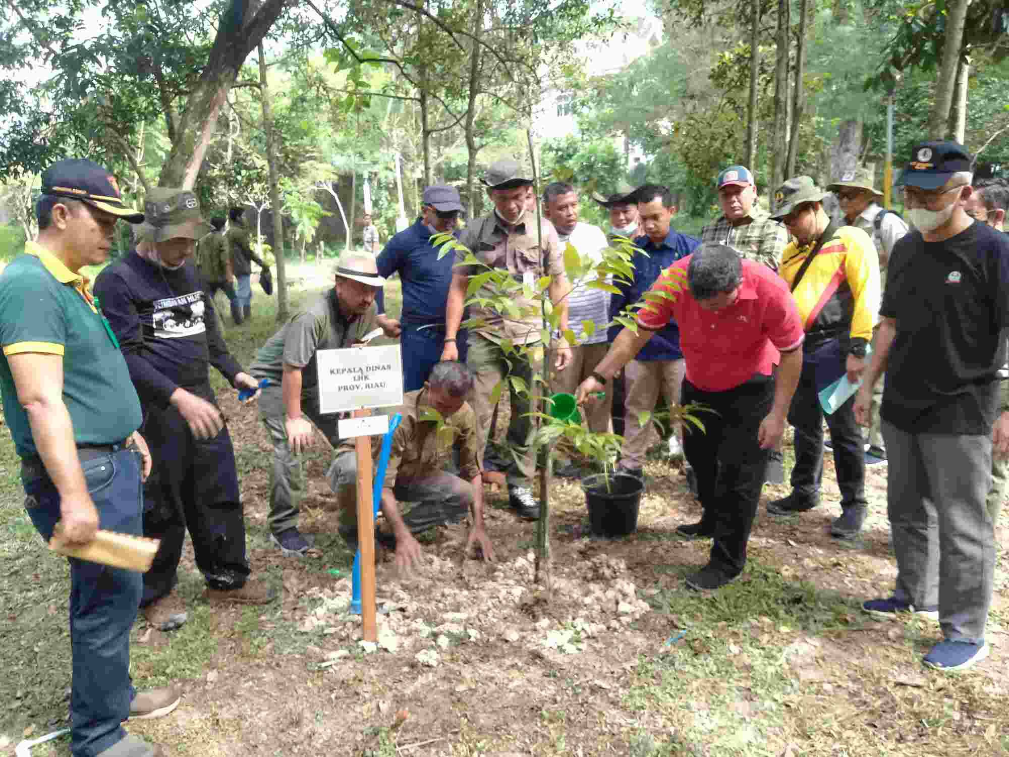 Kadis lhk riau