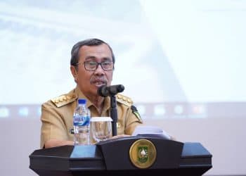 hari jadi kota pekanbaru 2022