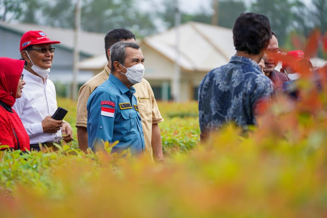 lockdown desa pmk