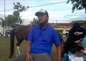 stable kuda pekanbaru