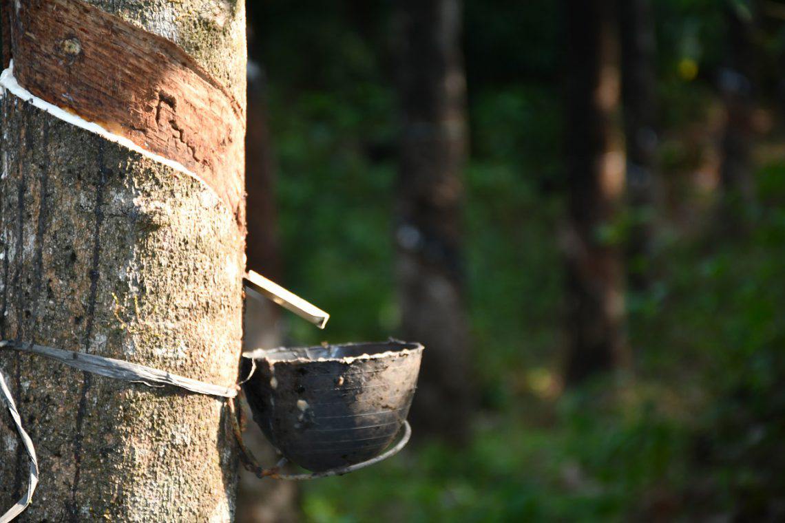 harga karet riau
