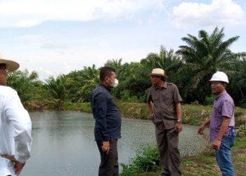 Komisi II DPRD Kuansing saat sidak di PT TAL Serosa Kecamatan Hulu Kuantan