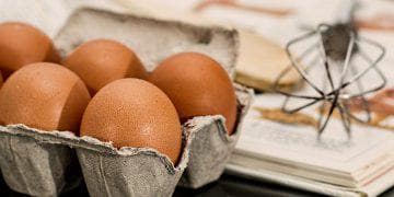 Telur ayam, harga telur di pekanbaru, komoditi inflasi riau