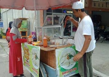 bakso gepeng