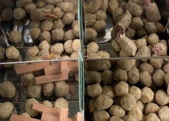 Jual Bakso Pasaman di Pekanbaru