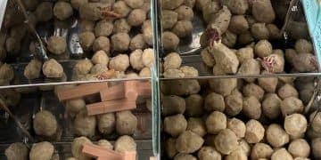 Jual Bakso Pasaman di Pekanbaru