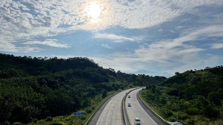 tol pekanbaru - dumai tumbuh