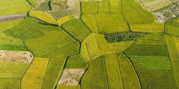 Luas sawah di sumbar