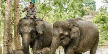 sekolah gajah wisata keluarga