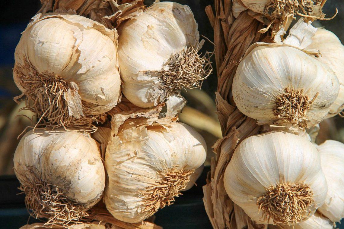 Sayuran bahaya bagi penderita asam lambung