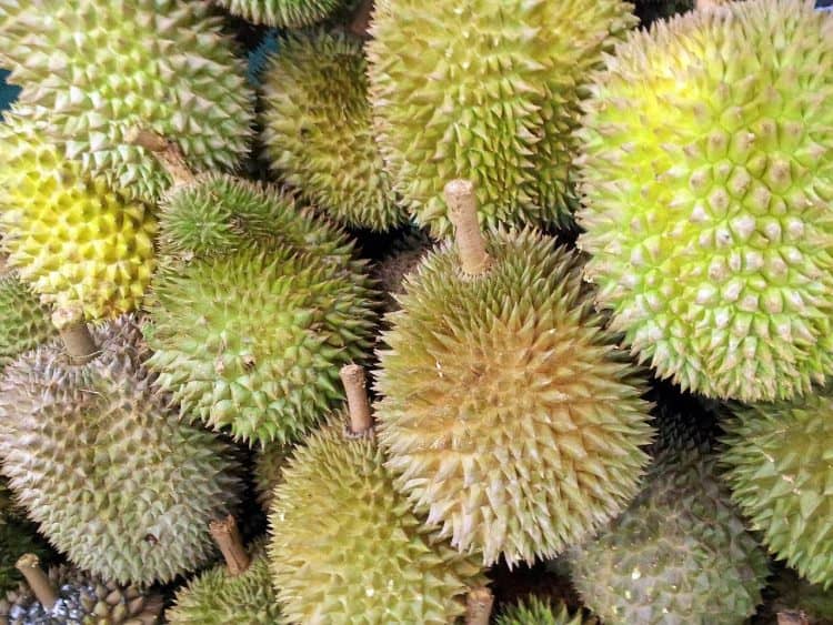 Produksi buah durian di Riau